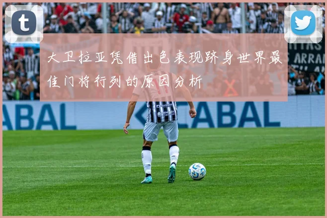 大卫拉亚凭借出色表现跻身世界最佳门将行列的原因分析