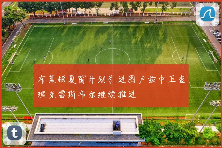 布莱顿夏窗计划引进图卢兹中卫查理克雷斯韦尔继续推进