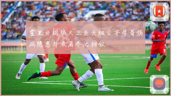 霍里分析热火三巨头组合字母哥伤病隐患与浓眉乔治相似