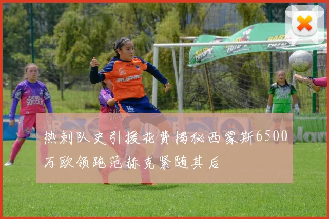 热刺队史引援花费揭秘西蒙斯6500万欧领跑范赫克紧随其后